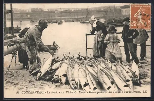 AK Concarneau, Le Port, La Pêche du Thon, Débarquement du Poisson sur la Digue