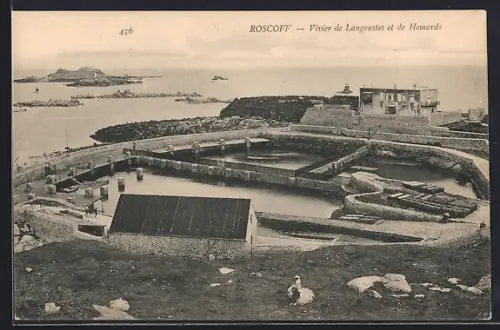 AK Roscoff, Vivier de Langoustes et de Homards