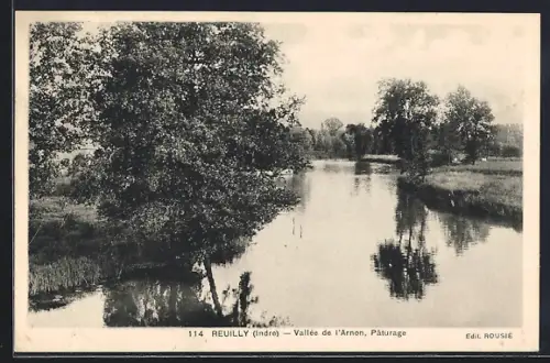 AK Reuilly /Indre, Vallée de l`Arnon, Pâturage