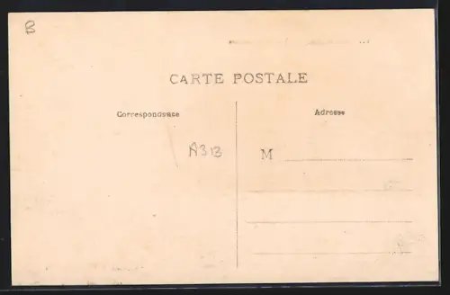 AK Migné /Indre, Vue Panoramique