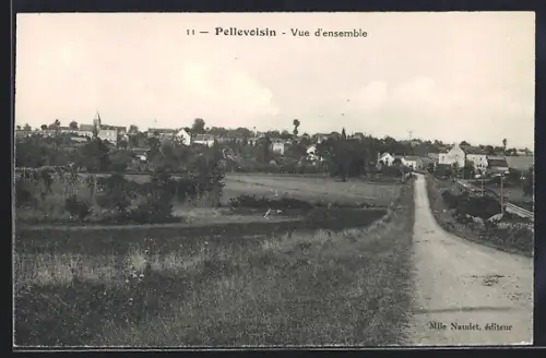 AK Pellevoisin, Vue d`ensemble