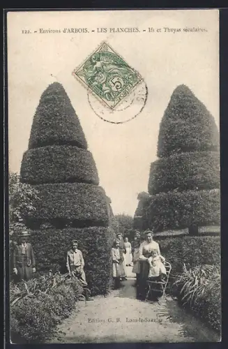 AK Arbois, Les Planches, Ifs et Thuyas séculaires