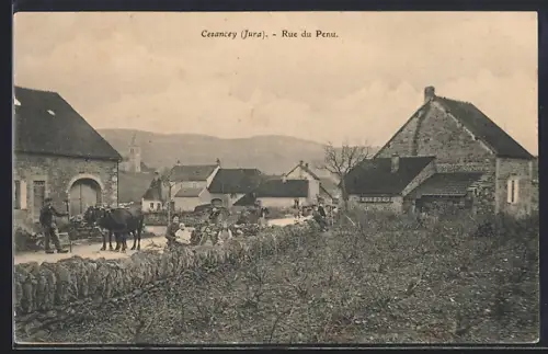 AK Cesancey /Jura, Rue du Penu, Strassenpartie