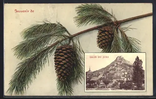 Passepartout-AK Dresden, Gesamtansicht auf Frauenkirche, Tannenzweig mit Tannenzapfen