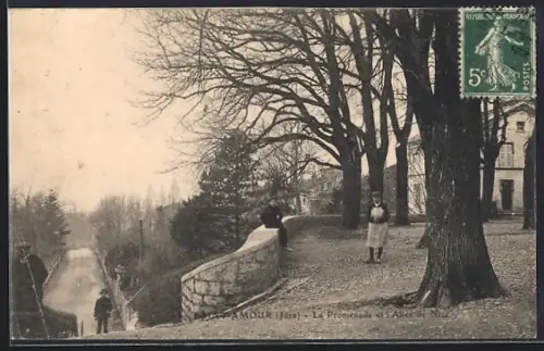 AK Saint-Amour /Jura, La Promenade et l`Allée de Nice