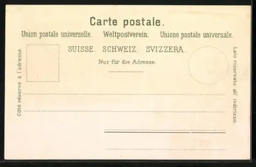 Lithographie Bex, Panorama et les Diablerets, Tour de Duin