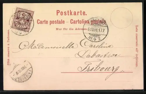 Lithographie La Neuveville, Schlossberg, La Cascade, Vue générale