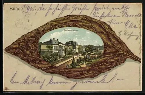 Passepartout-Lithographie Bünde, Gartenstrasse gerahmt von einem Tabakblatt
