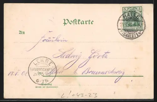 Lithographie Halle / Saale, Hallenser, Halloren & Hallunken