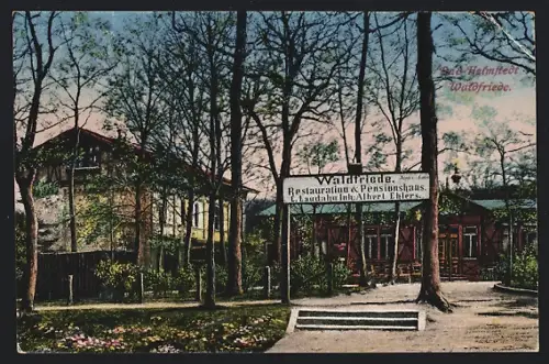 AK Bad Helmstedt, Gasthaus & Pension Waldfriede