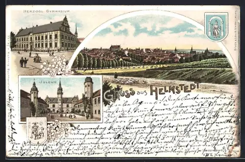 Lithographie Helmstedt, Herzogl. Gymnasium, Juleum, Ortsansicht von der Feldflur aus