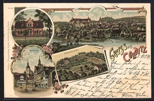 Lithographie Colditz, Marktplatz, Schlobach`s Berg, Luisa Heim, Ortsansicht aus der Vogelschau