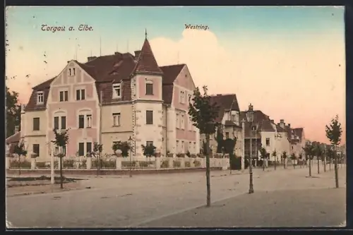 AK Torgau a. Elbe, Strasse Westring mit Villen