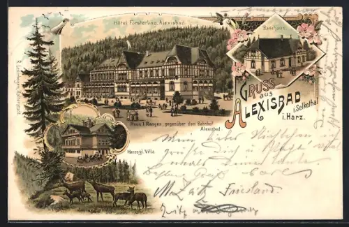 Lithographie Alexisbad i. Harz, Hotel Försterling, Herzogliche Villa