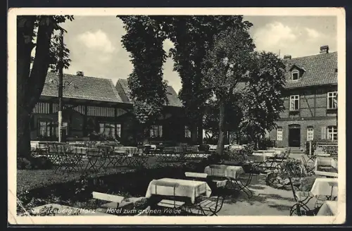 AK Stecklenberg /Harz, Hotel zum grünen Walde, Inh. Willy Klaus