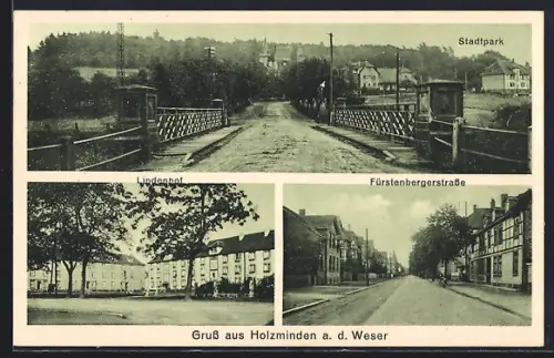 AK Holzminden a. d. Weser, Lindenhof, Fürstenbergerstrasse und Stadtpark