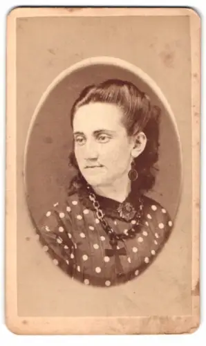 Fotografie W. R. Call, Manchester, Elm Street 895, Porträt einer Dame