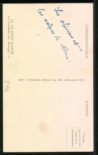 AK Cote d`Azur, La Cueillette des Oranges