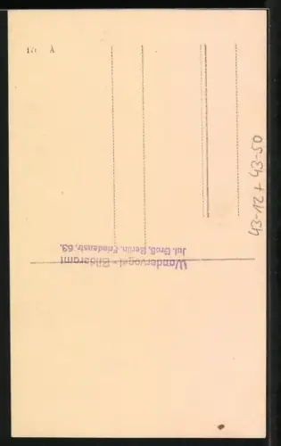 Foto-AK Wandervögel beim Ausdruckstanz