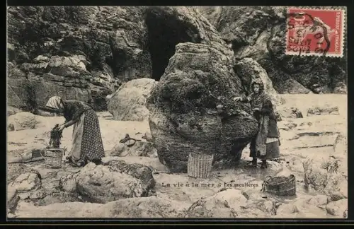 AK La Vie a la Mer, Les moulieres