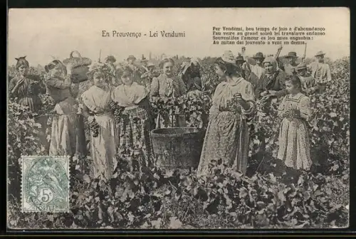 AK Lei Vendumi, Erntehelferinnen bei der Weinlese