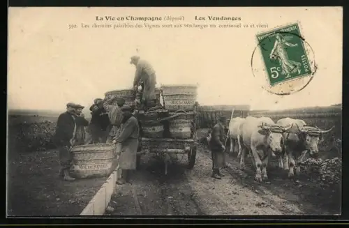 AK La Vie en Champagne, Les Vendanges, Les chemins paisibles des Vignes sont aux vendanges un continuel va et vient