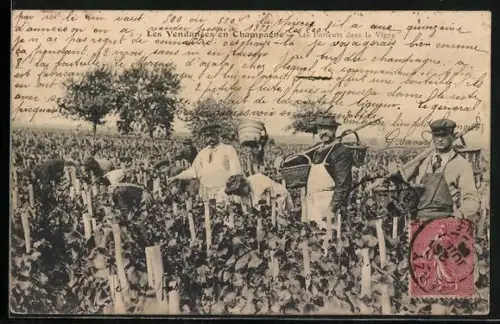 AK La Vendanges en Champagne, Les Portents dans la Vigne