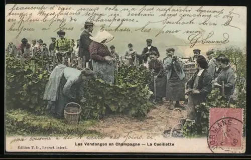 AK La Vie en Champagne, La Cueillette