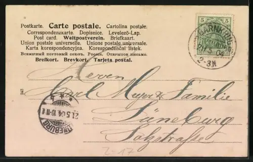 Lithographie Postkutsche unterwegs, Gänsehüterin, Pfingstgruss