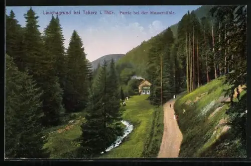 AK Tabarz i. Thür., Lauchagrund, Partie bei der Massemühle