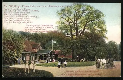 AK Ugleisee, Gasthaus zum Uglei, Bes. August Holzbach