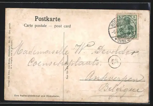 AK Rüdesheim / Rhein, Teilansicht mit Nationaldenkmal