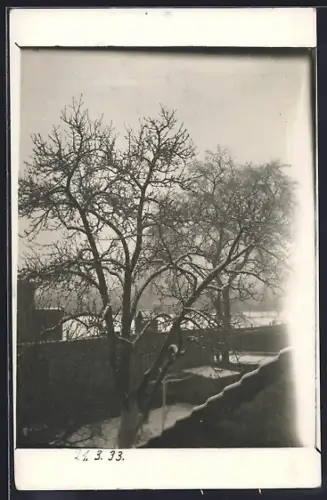Foto-AK Rathenow, Blick auf verschneiten Garten mit Bäumen, 21.3.33