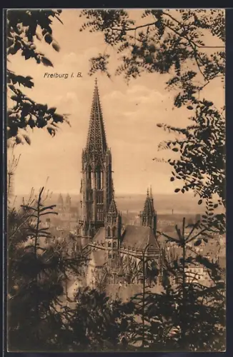 AK Freiburg i. B., Münster