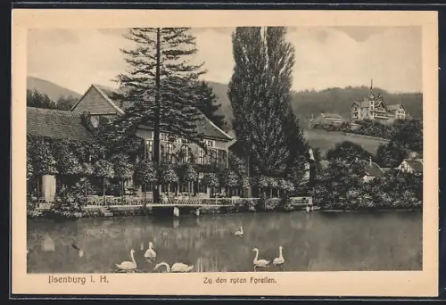 AK Ilsenburg i. H., Zu den roten Forellen, Teich, Landschaft