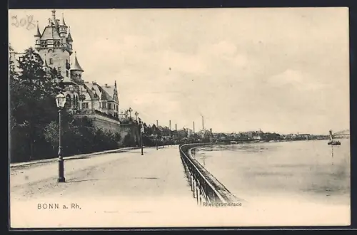 AK Bonn a. Rh., Rheinpromenade