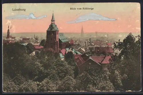 AK Lüneburg, Blick vom Kalkberge