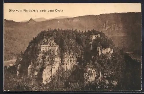 AK Oybin, Blick vom Pferdeberg auf Burg und Kloster Oybin