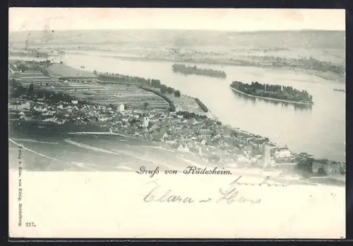 AK Rüdesheim / Rhein, Blick auf Stadt und Rhein mit Insel