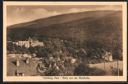 AK Ilsenburg, Harz, Blick von der Waldhöhe