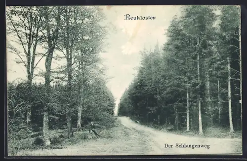 AK Neukloster / M., Der Schlangenweg