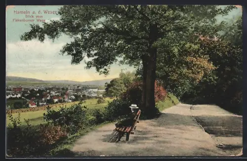 AK Hameln a. d. Weser, Blick vom Finkenborner Weg