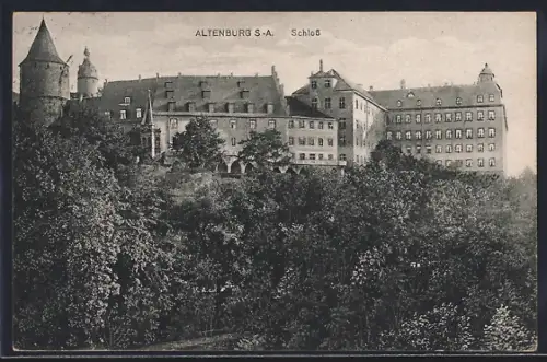 AK Altenburg S.-A., Schloss