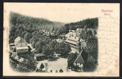 AK Alexisbad /Harz, Ortsansicht mit Kurhaus und umliegenden Gebäuden