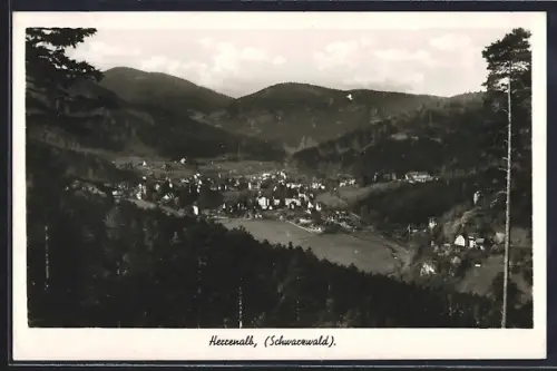 AK Herrenalb /Schwarzwald, Ortsansicht im Tal mit umliegenden Bergen