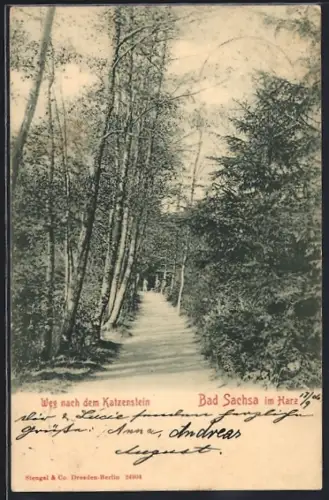 AK Bad Sachsa im Harz, Weg nach dem Katzenstein