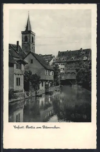 AK Erfurt, Partie am Dämchen