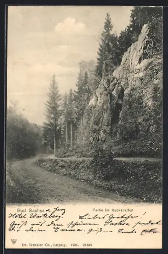 AK Bad Sachsa im Harz, Partie im Kuckansthal