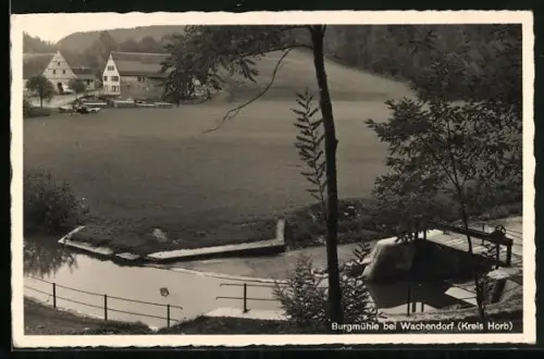 AK Wachendorf /Horb, Burgmühle, Mühlkanal, Landschaft