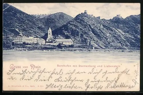 AK Bornhofen, Sternenberg, Liebenstein, Rheinansicht
